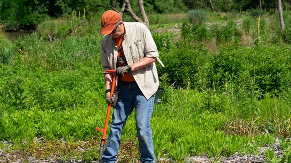 Restoration Workday at Duck Farm (South) in Lake Villa